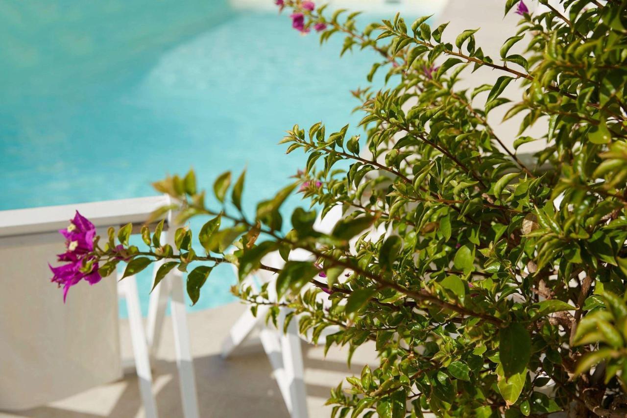 Hotel Mon Repos Palace - Adults Only Corfu (city)